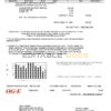 USA Oklahoma OGE Energy utility bill template in Word and PDF