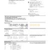 USA PNC bank statement template in Excel and PDF format, 2 pages
