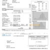 USA Illinois Peoples Gas utility bill template in Word and PDF format
