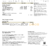 USA Washington Puget Sound Energy utility bill template in Word and PDF format, 2 pages, version 2