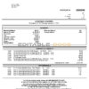 USA Regions Bank statement, Word and PDF template, 4 pages