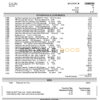 USA Regions Bank statement, Word and PDF template, 4 pages