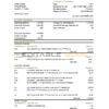 USA Regions bank statement template in .xls and .pdf file format