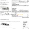USA South Carolina SCE&G electricity utility bill template in Word and PDF format