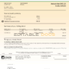 USA Southern California EDISON utility bill, Word and PDF template, 8 pages