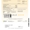 USA Southern California Edison utility bill template in Word and PDF format