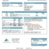 USA Springside Mortgage bank statement template in Word and PDF format