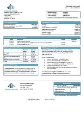 USA Springside Mortgage bank statement template in Word and PDF format