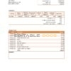 USA SunTrust bank statement Word and PDF template, version 2