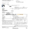 USA Sutton bank credit card statement template in Word and PDF format