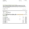 USA TD bank statement template, Word and PDF format (.doc and .pdf)