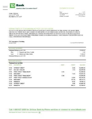 USA Editable Templates 7 USA TD bank statement template, Word and PDF format (.doc and .pdf)