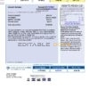 USA Time Warner Cabel utility bill, Word and PDF template, 3 pages