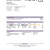 USA Truist Bank statement template in .xls and .pdf file format