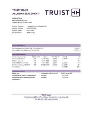 USA Editable Templates 6 USA Truist Bank statement template in .xls and .pdf file format