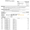 USA U.S. bank statement template in Word and PDF format (3 pages)