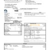 USA USAA bank Credit card statement template in Excel and PDF format