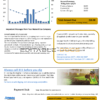 USA Virginia Atmos Energy utility bill template in Word and PDF format (.doc and .pdf)