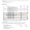 USA Wells Fargo Bank Simple Business Checking bank statement, Word and PDF template, 4 pages
