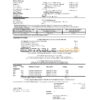 USA Wells Fargo bank credit card statement template in Excel and PDF format