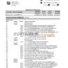USA Woodforest bank statement Excel and PDF template, 3 pages
