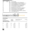 USA Woodforest bank statement Excel and PDF template, 3 pages