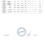 Ukraine Monobank bank statement, Word and PDF template, 3 pages