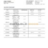 United Arab Emirates Investment Bank statement template in Word and PDF format