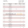 Vietnam Agribank bank statement template in Word and PDF format
