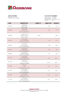 Vietnam Agribank bank statement template in Word and PDF format