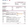 Vietnam BIDV bank statement template in Word and PDF format