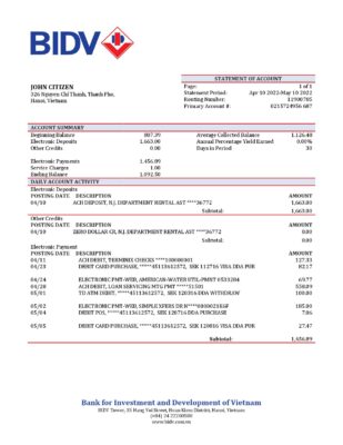 Vietnam BIDV bank statement template in Word and PDF format