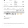 Vietnam Techcombank bank statement easy to fill template in Excel and PDF format