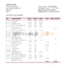Vietnam Vietinbank bank statement template in Excel and PDF format