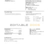 USA Wells Fargo bank statement template in .xls and .pdf file format, 3 pages