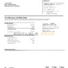 USA Wells Fargo bank statement Word and PDF template, version 2