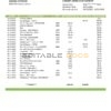 Yemen Central Bank of Yemen bank statement Word and PDF template