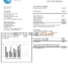 USA Connecticut Light & Power electricity utility bill in Word and PDF format