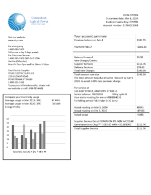USA Editable Templates 10 USA Connecticut Light & Power electricity utility bill in Word and PDF format
