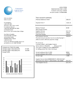 USA Connecticut Light & Power electricity utility bill in Word and PDF format