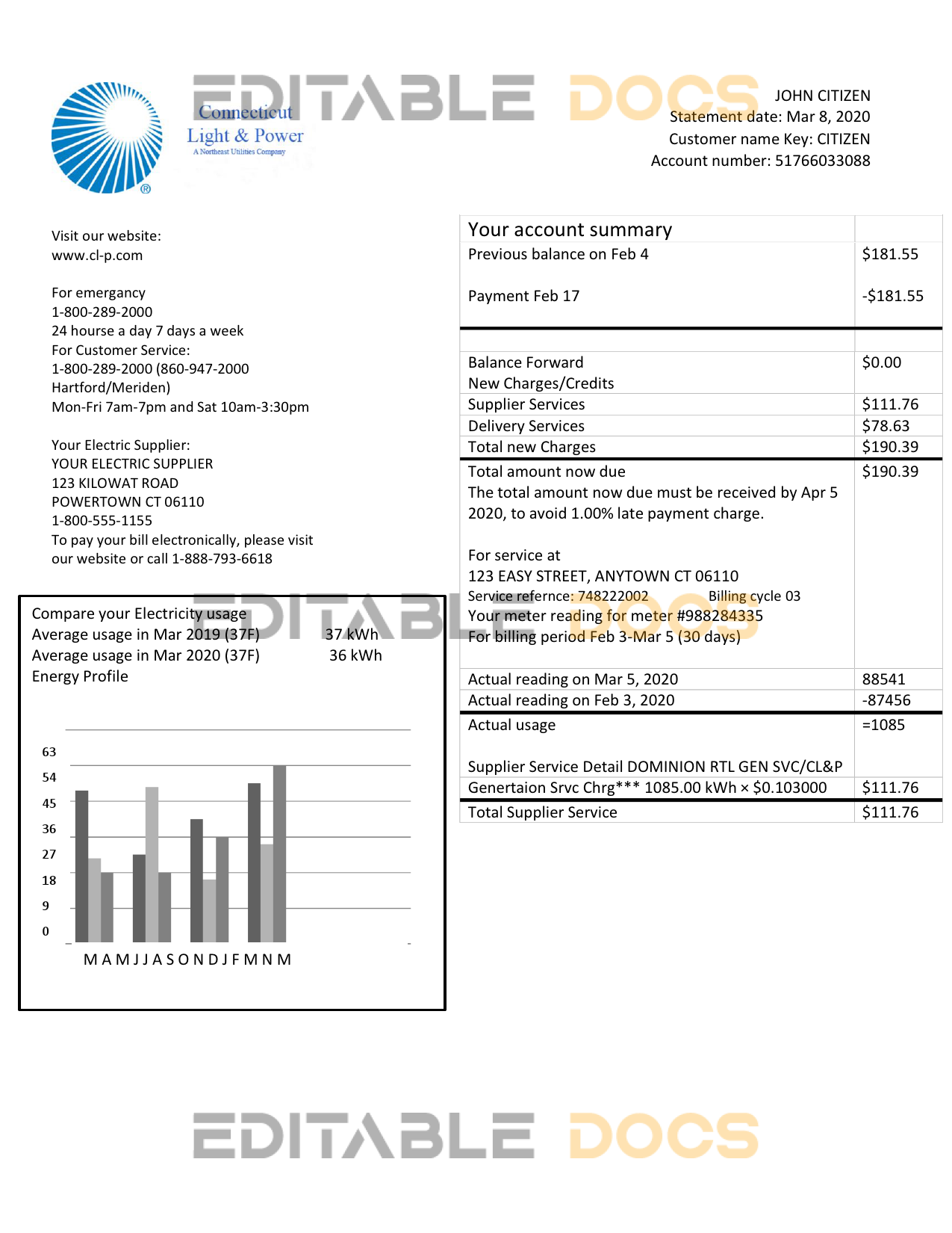 USA Connecticut Light & Power electricity utility bill in Word and PDF format