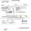 USA Texas El Paso Water utility bill template in Word and PDF format