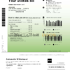 Canada Epcor electricity utility bill template in Word and PDF format, 3 pages