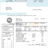 USA Florida water utility bill template in Word and PDF format