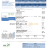 Germany Just Energy utility bill template in Word and PDF format (.doc and .pdf)