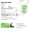 Australia Energy Australia electricity utility bill template in Word and PDF format