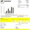 Norway BKK electricity utility bill template in Word and PDF format, good for address prove