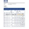 Afghanistan Da Afghanistan bank statement template in Excel an PDF format