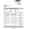 Albania Bank of Albania bank statement template in Excel an PDF format