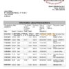 Albania Bank of Albania bank statement template in Word and PDF format